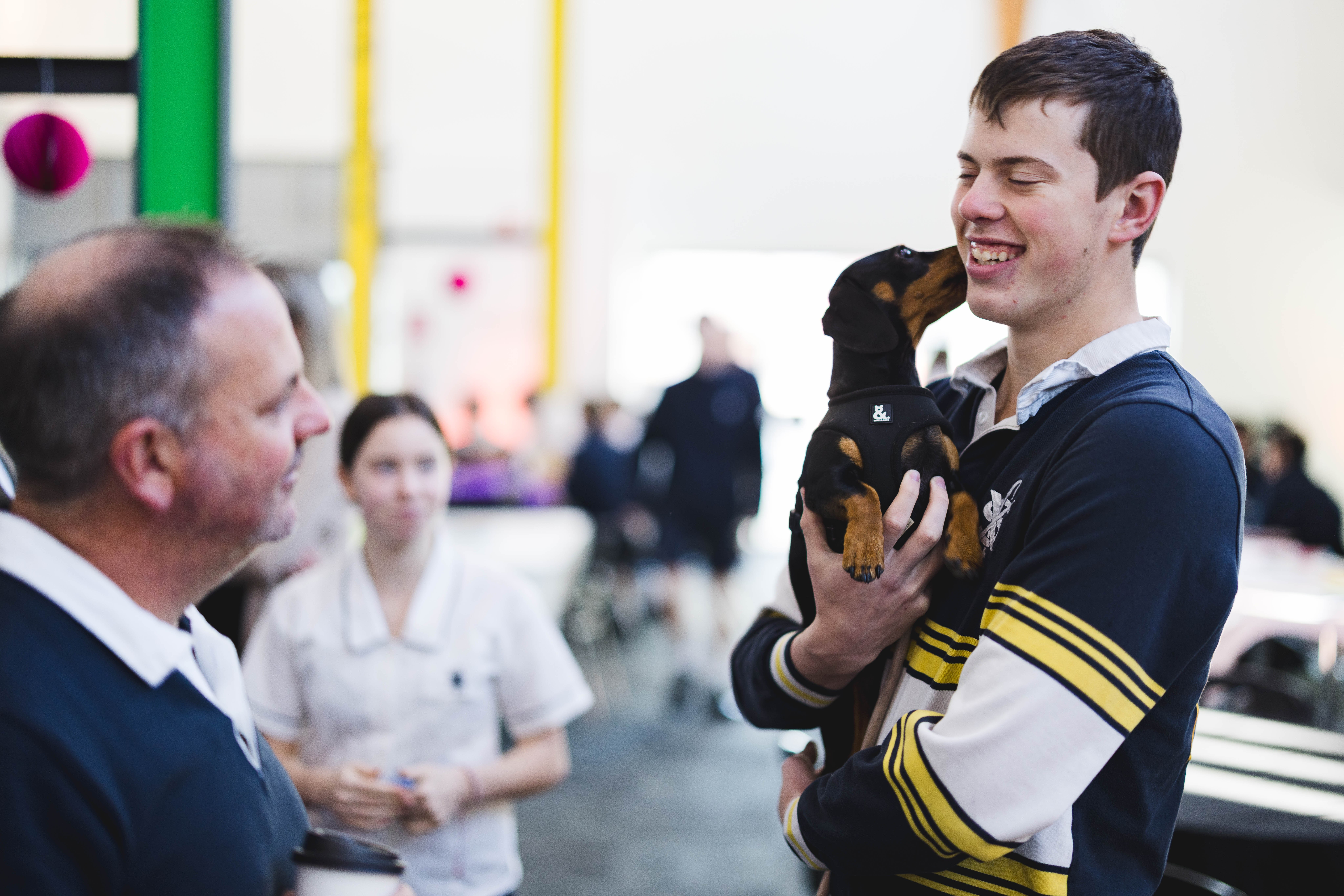 Monty the therapy dog