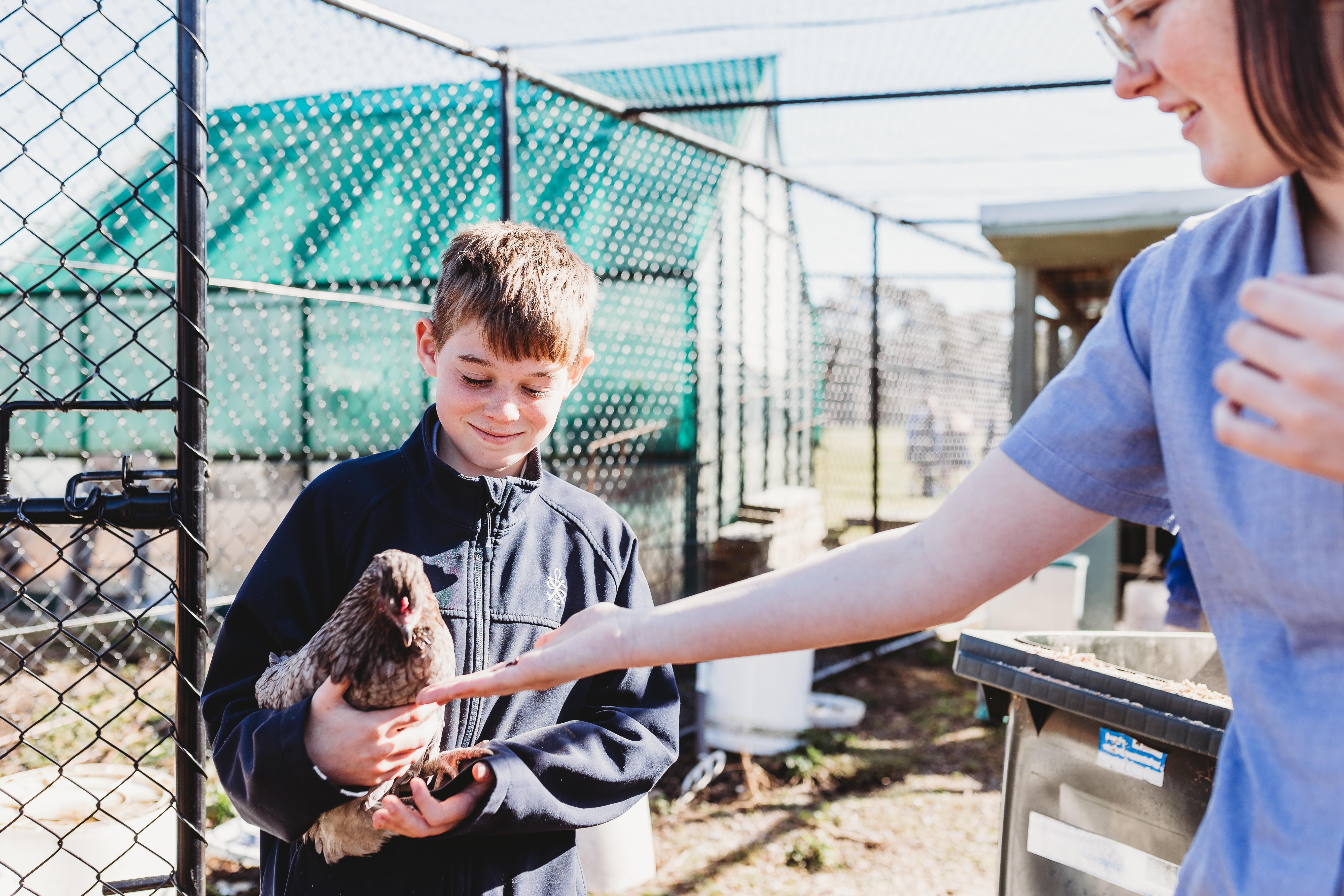 SFX students in the field with animals